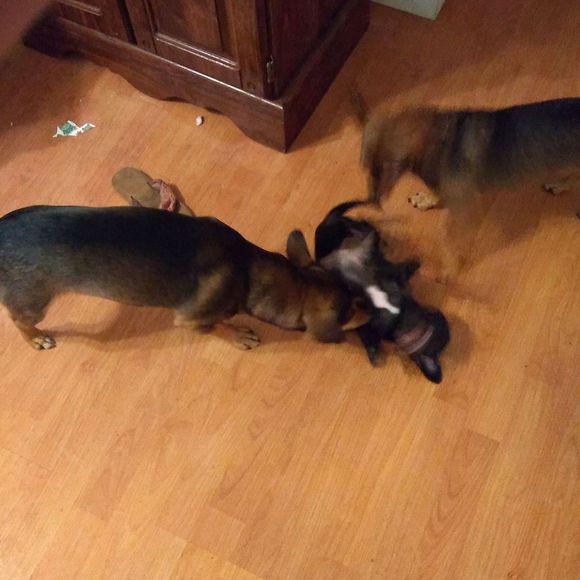 Meet your Posher, Roger - Picture 1 of 1